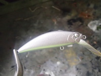 岩魚カラーRYUKI50S塗装しました。 2015/03/08 20:28:15