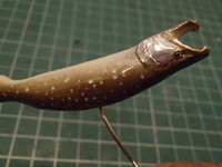 岩魚～ 2014/04/20 18:15:41