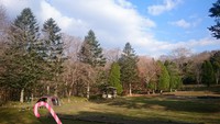 ポロトの森キャンプ場