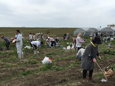 2018 Forest Farm (ジャガイモ収穫)