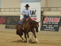 NRHA Japan 2014