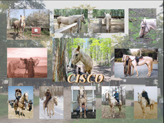 2023 Cisco