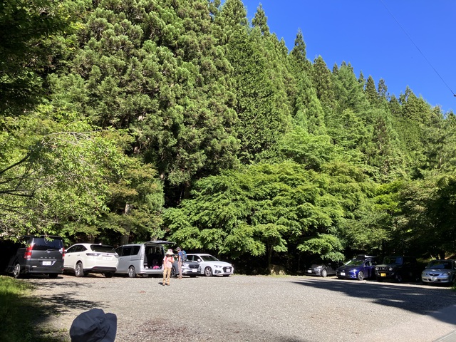 リハビリ登山！石割山に登ってみた