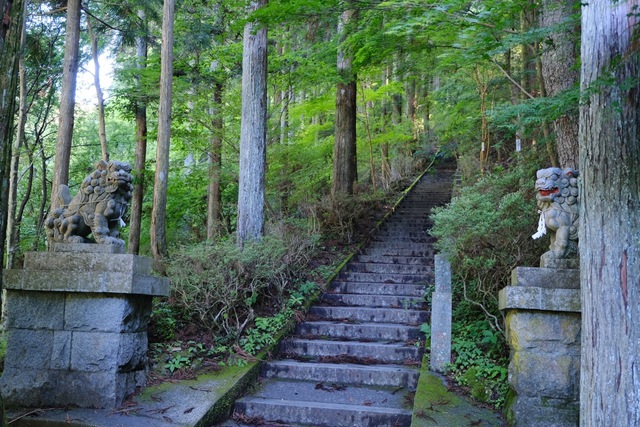 リハビリ登山！石割山に登ってみた