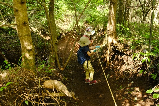 リハビリ登山！石割山に登ってみた