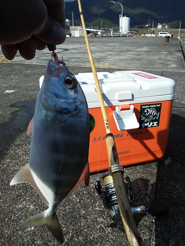 ポン釣り～小物釣り師～:ufmウエダの謎ロッド③メッキ釣り