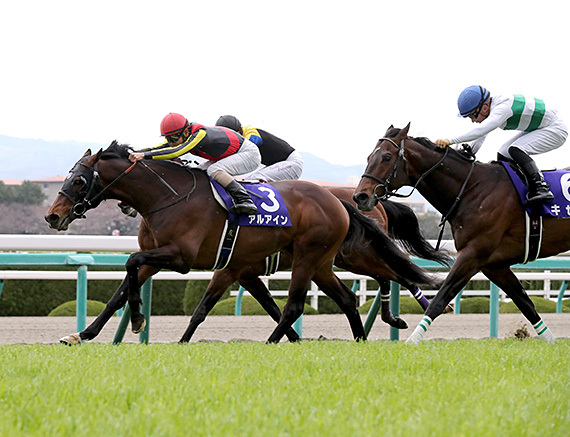 4月1週ナチュ記事1 4月1週ナチュ記事1