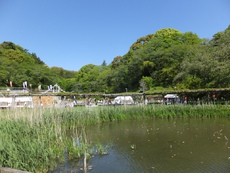 昭和の日、蓮華寺池公園と野菜と2025/04/29