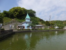 連休中の日曜日、蓮華寺池公園へ2025/05/04