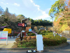 今年2回目の蓮華寺池公園2022/01/03