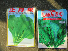 ヒョウタンの乾燥作業と野菜の種蒔き2022/10/02