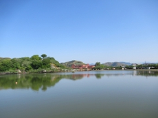 日曜日のルーチン蓮華寺池公園へ2025/04/27