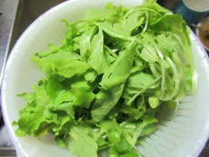夏野菜収穫2019/10/22
