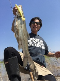 失恋ショコラティエ的なかんじ