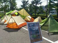 WILD-1 2014/06/16 11:10:00