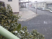 雪が舞うなか・・・