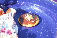志摩オ－トキャンプ場～Ｈ25・2/10~11～其の2
