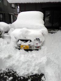 雪・雪・雪 2009/01/13 21:33:21
