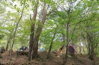 新緑キャンプ～自然の森