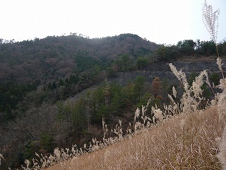 交流しましょ♪～ハイマート佐仲