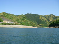 四万十川 2008/05/06 20:16:14