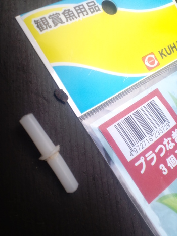 アオリイカ活餌釣り　アジの活かしを作ろう(^o^)