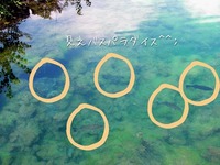 今年も本栖湖大掃除☆