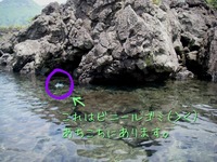 今年も本栖湖大掃除☆