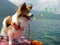 今年も本栖湖大掃除☆