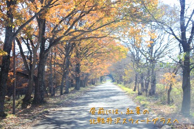 記念日キャンプ in 北軽井沢