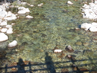 秋の森林浴ツアー　in 御岳
