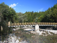 秋の森林浴ツアー　in 御岳