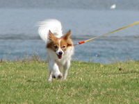 キャンピングカーフェスティバル2007 in 浜名湖