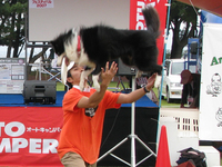 食べ過ぎ？（笑）