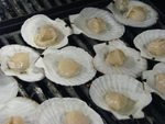 那須キャンプ大会　その２