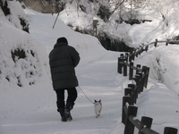雪の白糸の滝へ