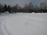 雪の北軽井沢スウィートグラス☆