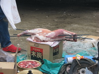 羊の丸焼き！