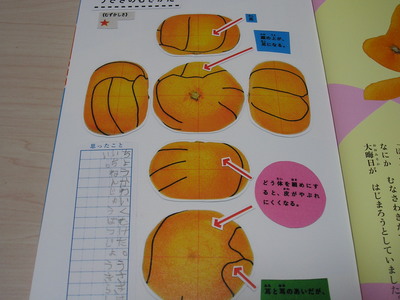 あたらしいみかんのむきかた