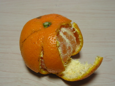 あたらしいみかんのむきかた