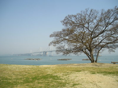 花見と釣りのデイキャンプ