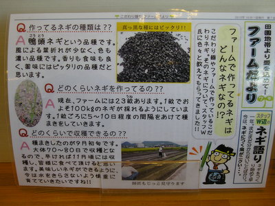 さぬきうどん②