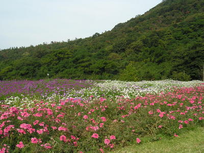 秋の公園