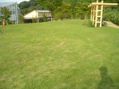 秋の公園