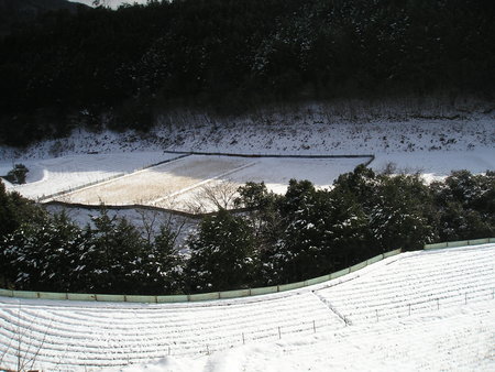 今年の備忘録①