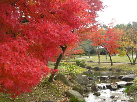 紅葉狩り