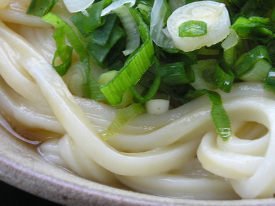 さぬきうどん⑧