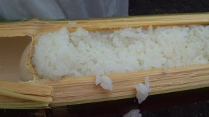 SWENキャンプ　その４