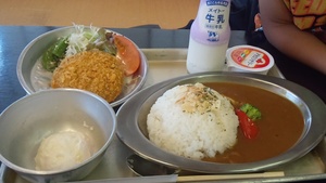 ハシゴキャンプ