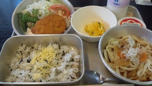 ハシゴキャンプ